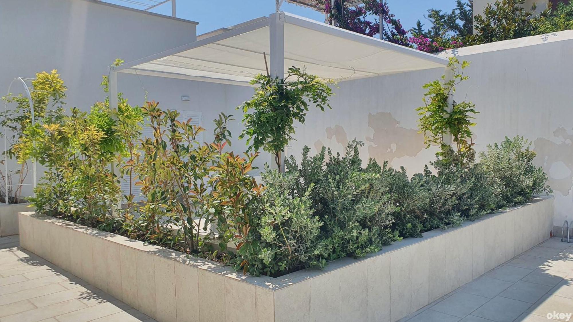 Villa Mediterranea Apartments - Seaview, Pool & Garden Bari Eksteriør billede